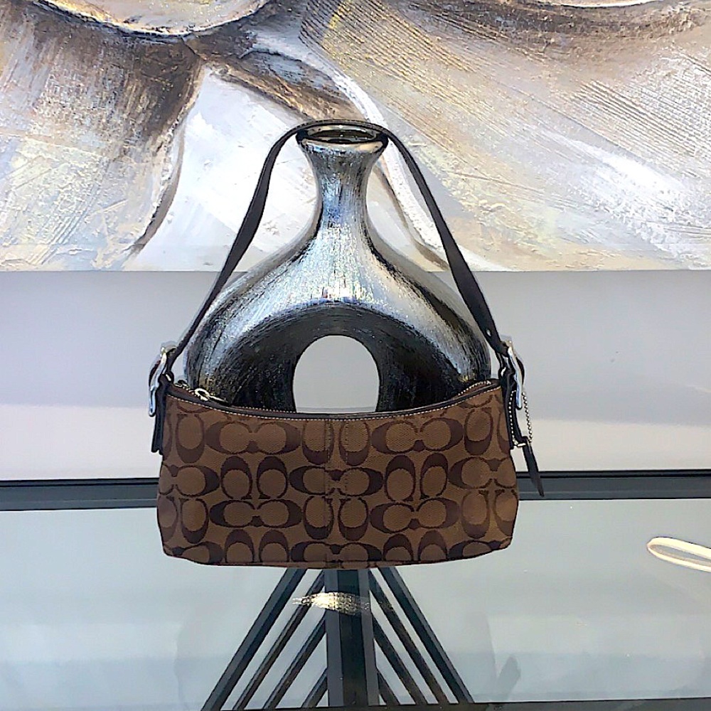 🍫 Chocolate Brown Coach Baguette Bag